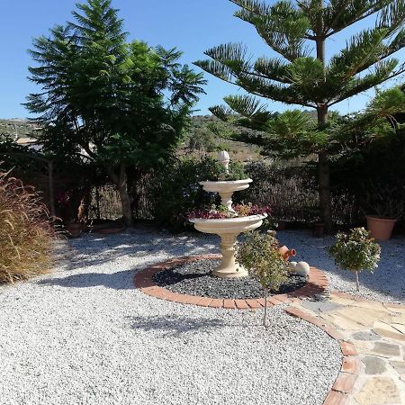 Villa Casa Las Fresas 阿尔考茨因 外观 照片