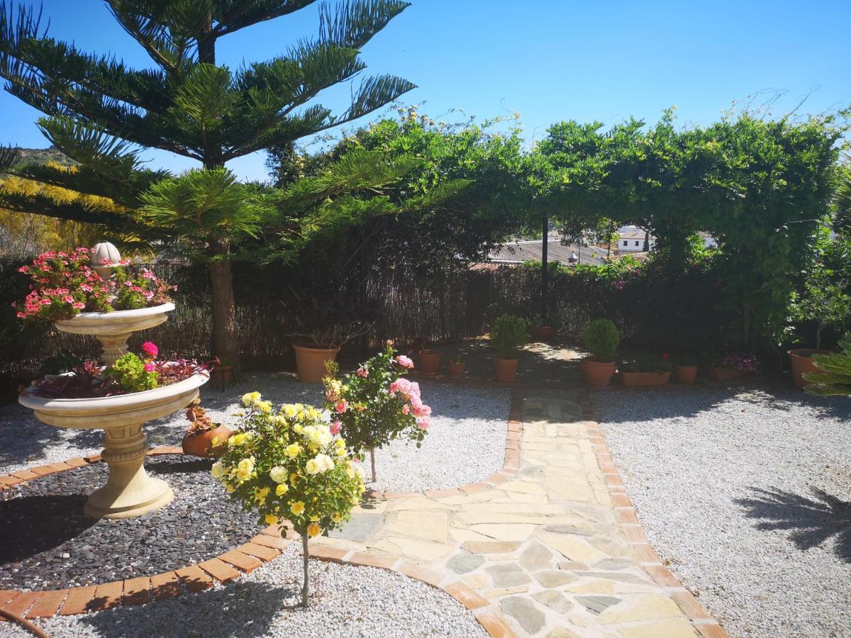 Villa Casa Las Fresas 阿尔考茨因 外观 照片